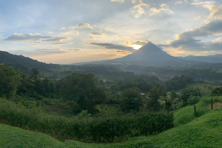 Three hours walking tour around the deep Tropical Rain Forest - Photo 1 of 12